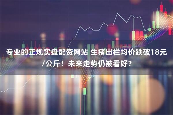 专业的正规实盘配资网站 生猪出栏均价跌破18元/公斤！未来走势仍被看好？