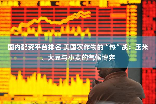 国内配资平台排名 美国农作物的“热”战：玉米、大豆与小麦的气候博弈