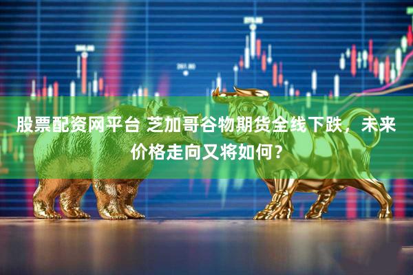 股票配资网平台 芝加哥谷物期货全线下跌，未来价格走向又将如何？