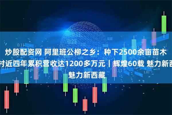 炒股配资网 阿里班公柳之乡：种下2500余亩苗木 全村近四年累积营收达1200多万元｜辉煌60载 魅力新西藏